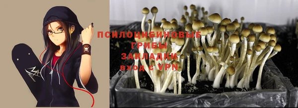 Альфа ПВП Аркадак