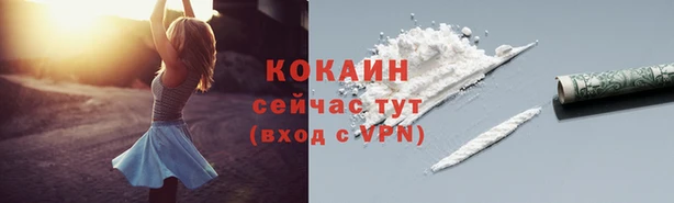 крисы Армянск